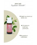 Nioli  Yağı 10 ml